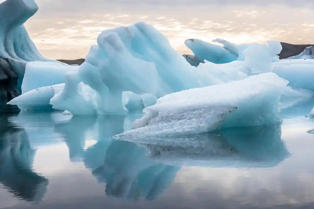 Icebergs floating in calm water at dawn or dusk