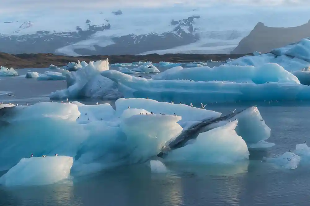 Icebergs in lagoon with glacier and mountains behind